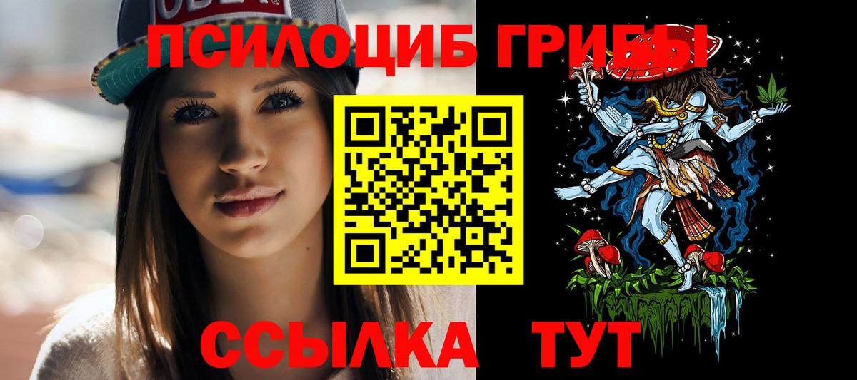 Галлюциногенные грибы Psilocybe  Вход с VPN  Биробиджан 