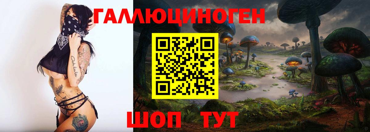 Псилоцибиновые грибы Psilocybine cubensis Биробиджан